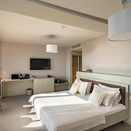 Hotell Millennium Hub & 4*